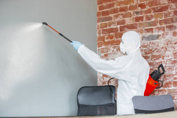 Mold Remediation for Vacation Homes in Lemont, IL