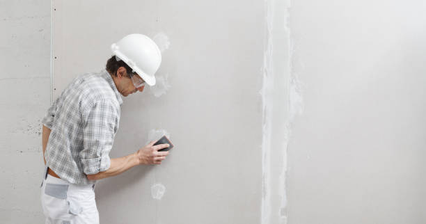 Best Mold Prevention Services  in Lemont, IL