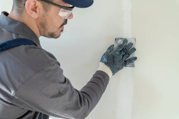 Best Mold-Related Health Consultation  in Lemont, IL