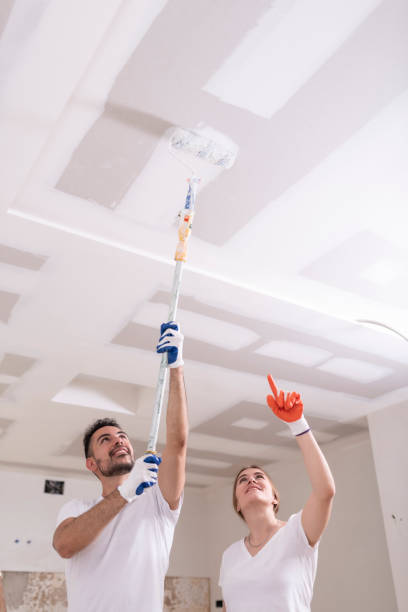 Best Mold Removal for HVAC Installations  in Lemont, IL