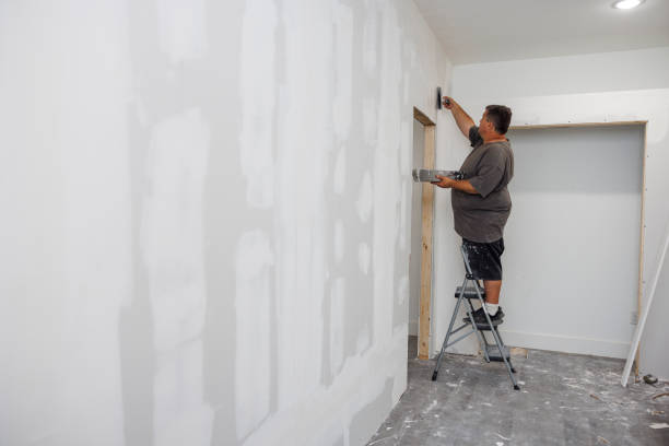 Mold Remediation for Vacation Homes in Lemont, IL