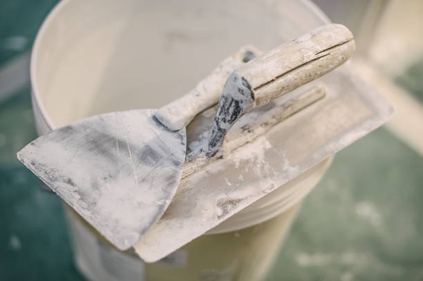Best Commercial Mold Inspection  in Lemont, IL