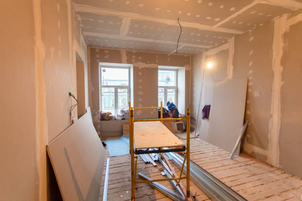 Biohazard Mold Removal in Lemont, IL