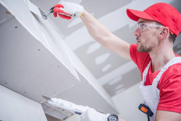 Professional Mold Removal in Lemont, IL