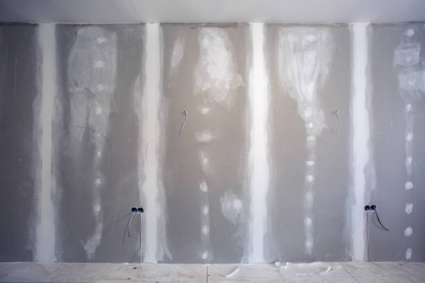 Best Post-Construction Mold Inspection  in Lemont, IL